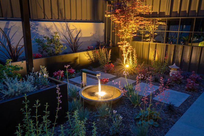 Explore Humane Deterrent Methods First