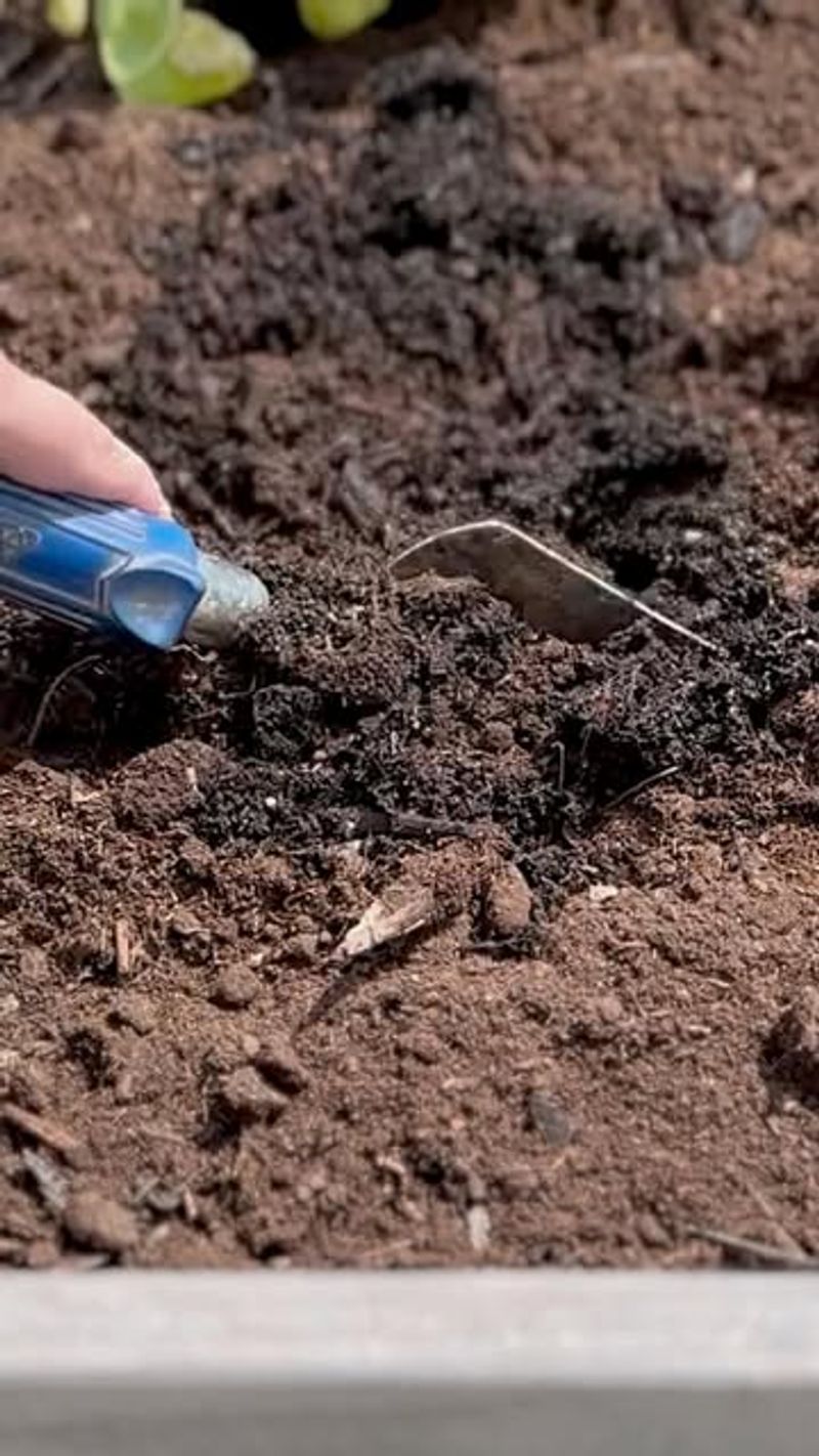 Blend Old Soil With Fresh Amendments For Best Results