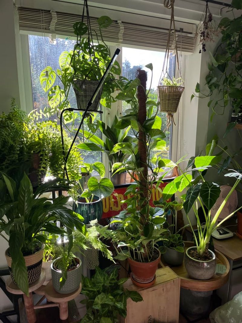 Slower Growth Means Fewer Mistakes