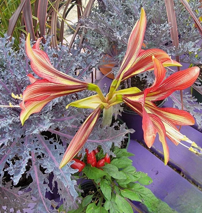 Mild Outdoor Temperatures in Fall