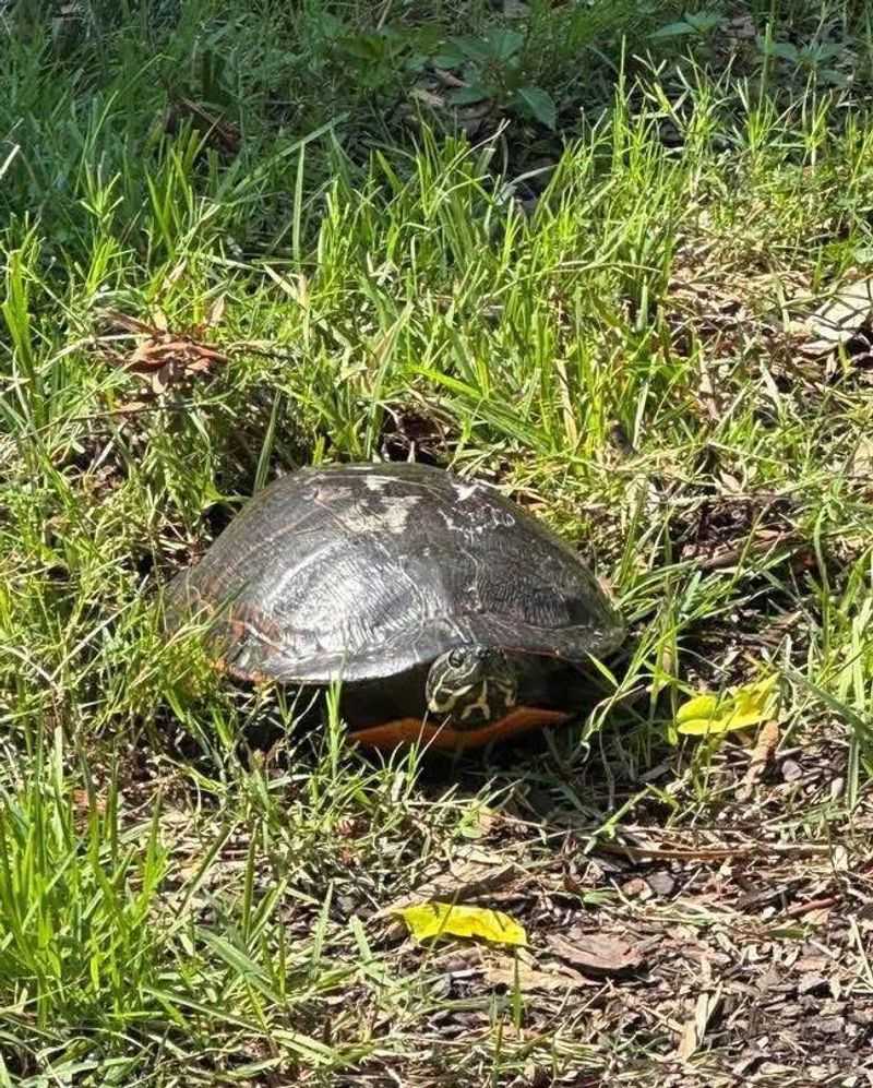 Know When To Simply Let It Go