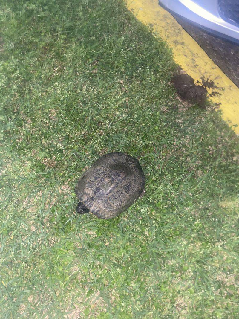 Create A Safe Pathway Away From Danger