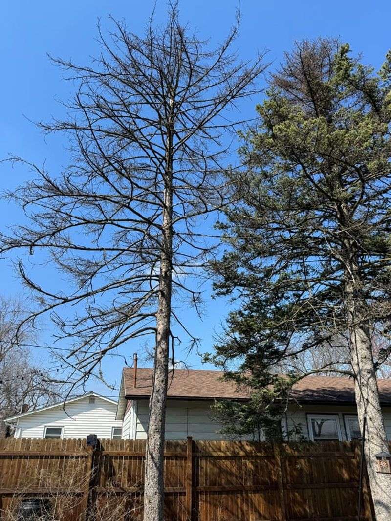 Negligence Changes Who Pays