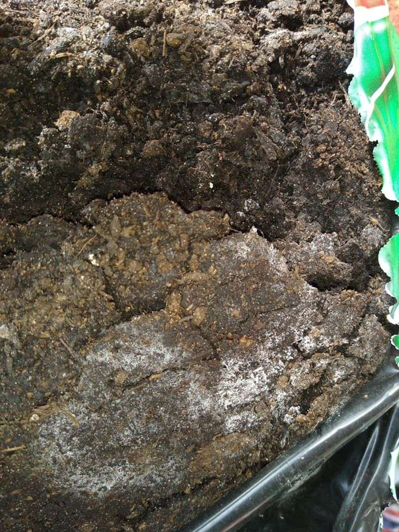 Increased Use Of Organic Soil Amendments