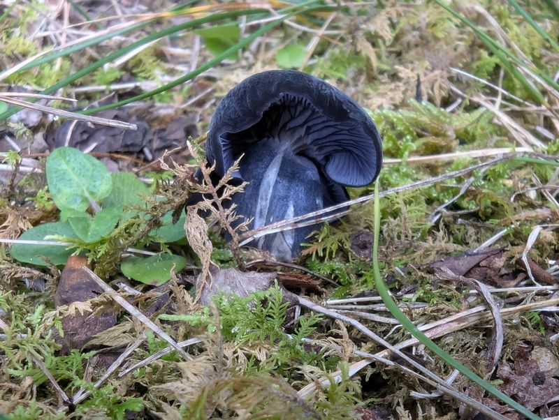 Creating Conversation And Community Connection