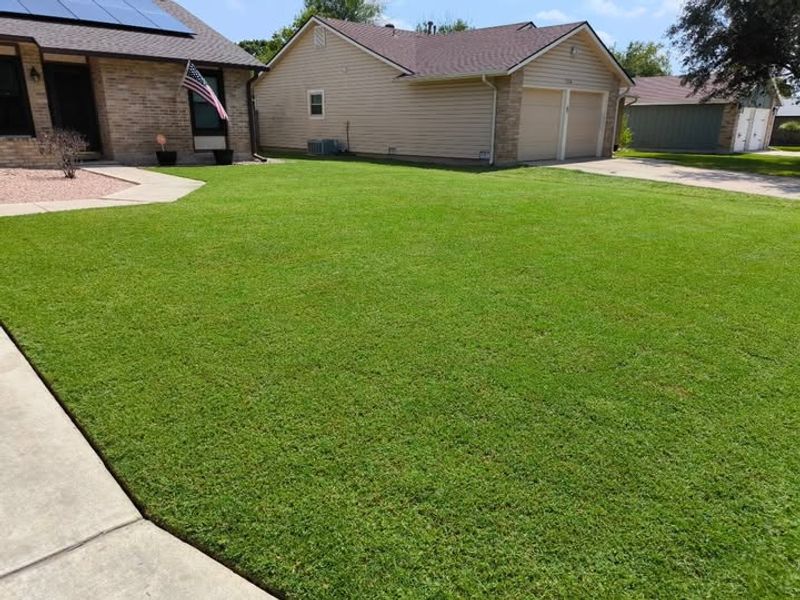 Warm-Season Lawns Store Nutrients Differently