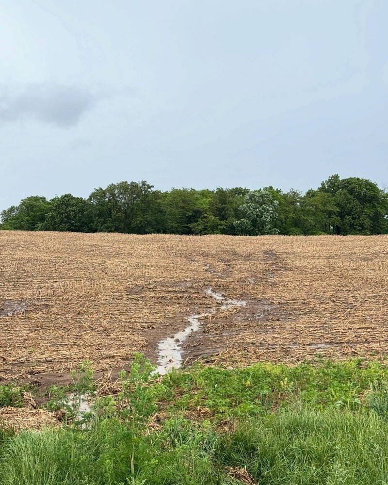 Topsoil Erosion Reaches Alarming Rates