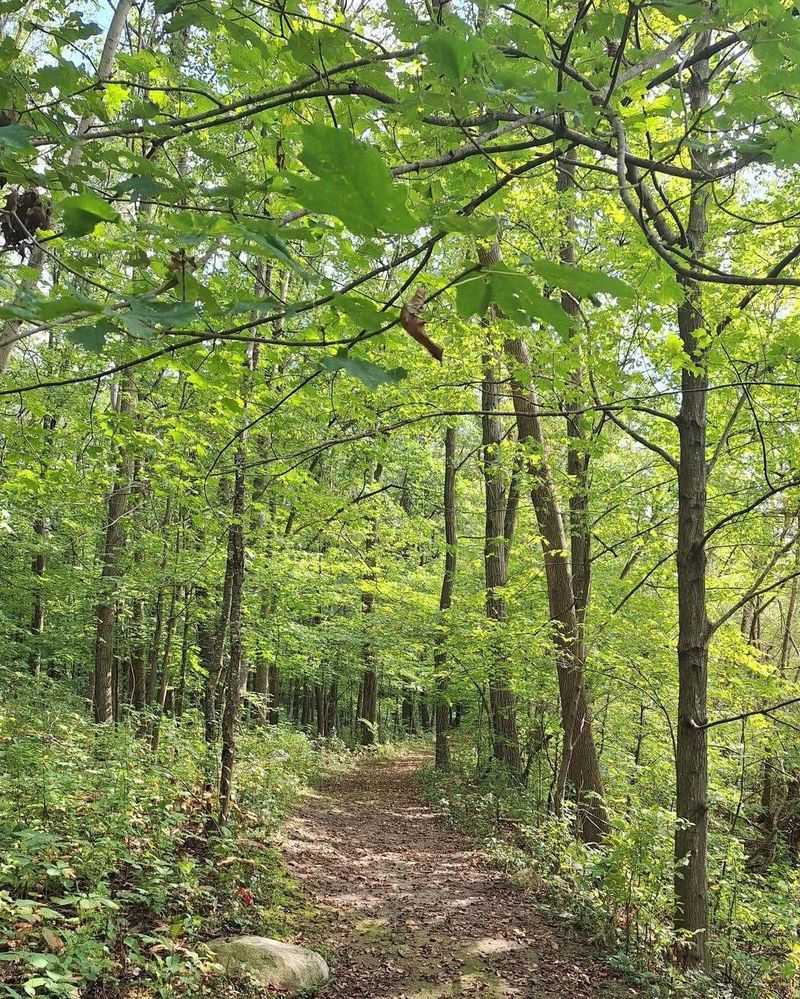 Hunter Safety and Communication