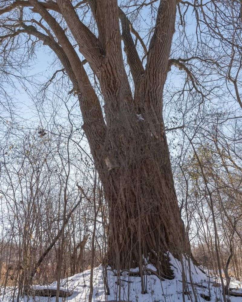 Legal Protection Under Wisconsin State Law