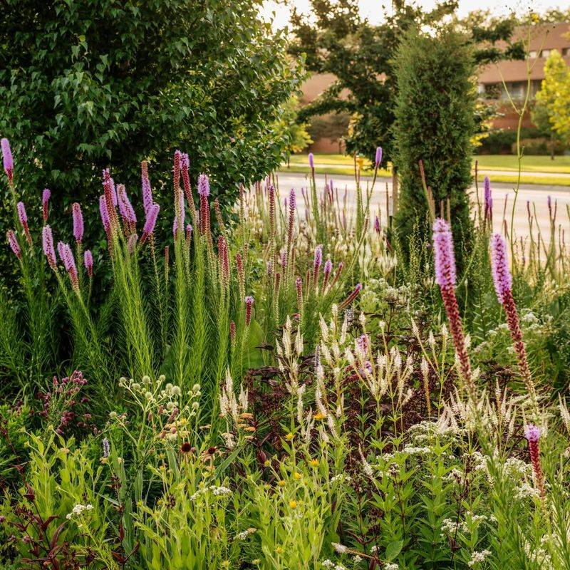 Connection To Iowa's Natural Heritage