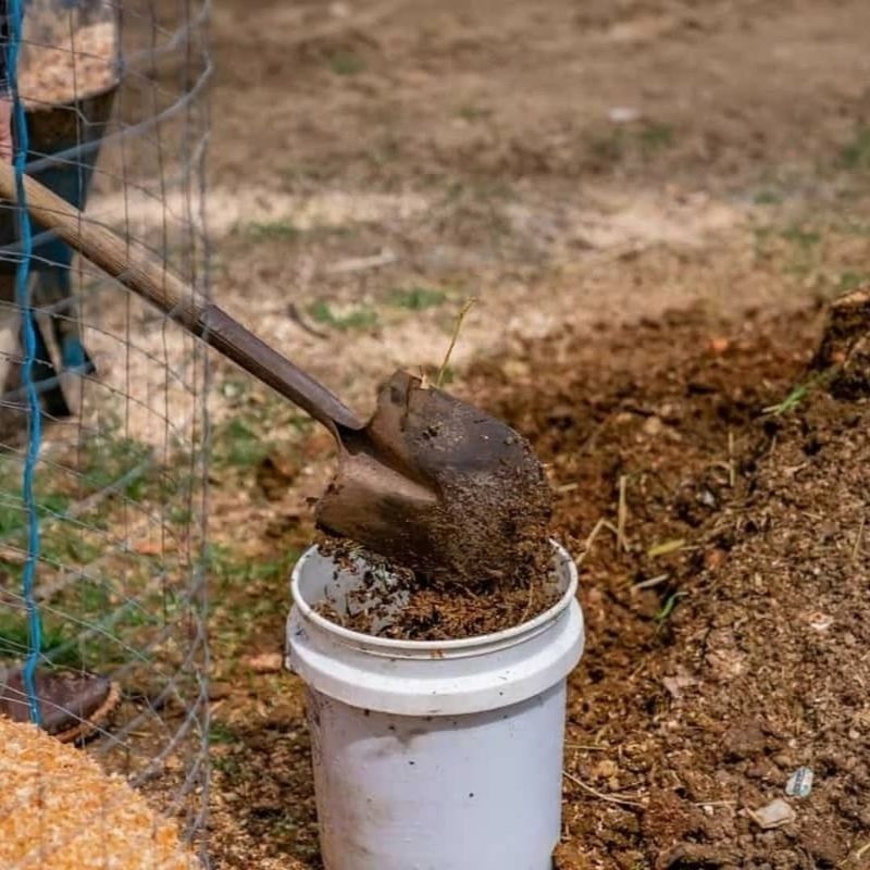 Pests Stay Dormant During Application