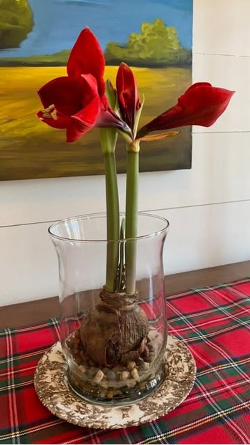 Kitchen Counters Near Sinks Boost Growth