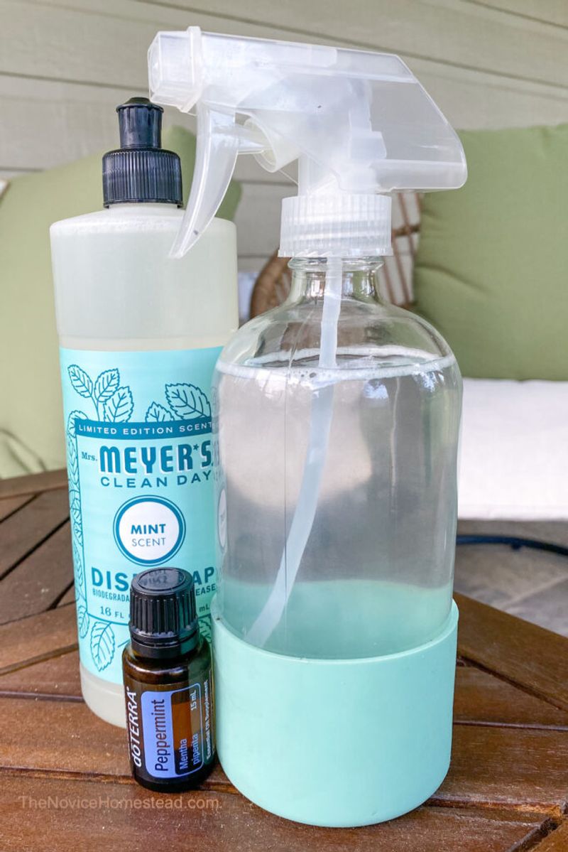 Apply Natural Peppermint Spray As A Deterrent