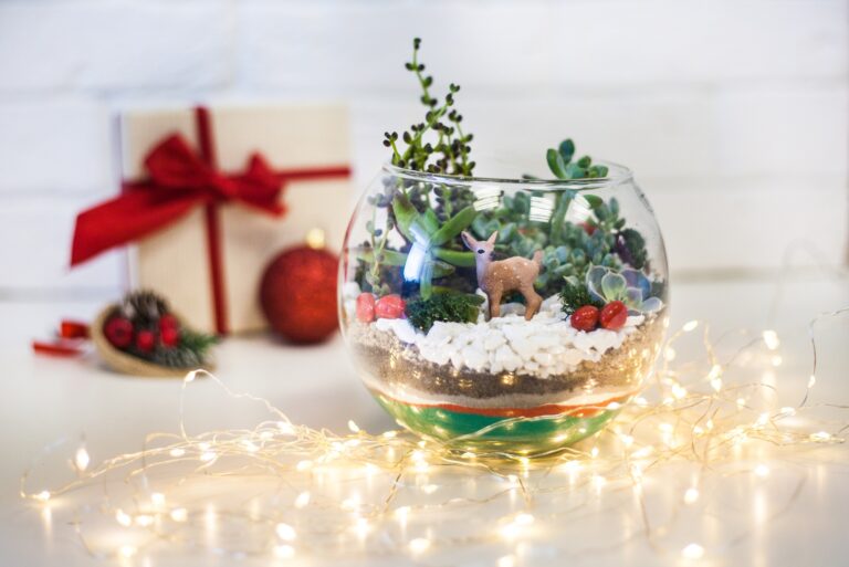 Terrarium (featured image)