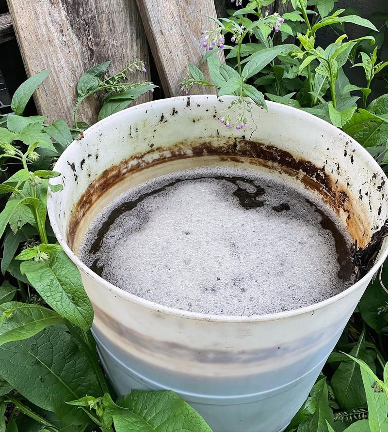 Brew Liquid Fertilizer For Quick Feeding