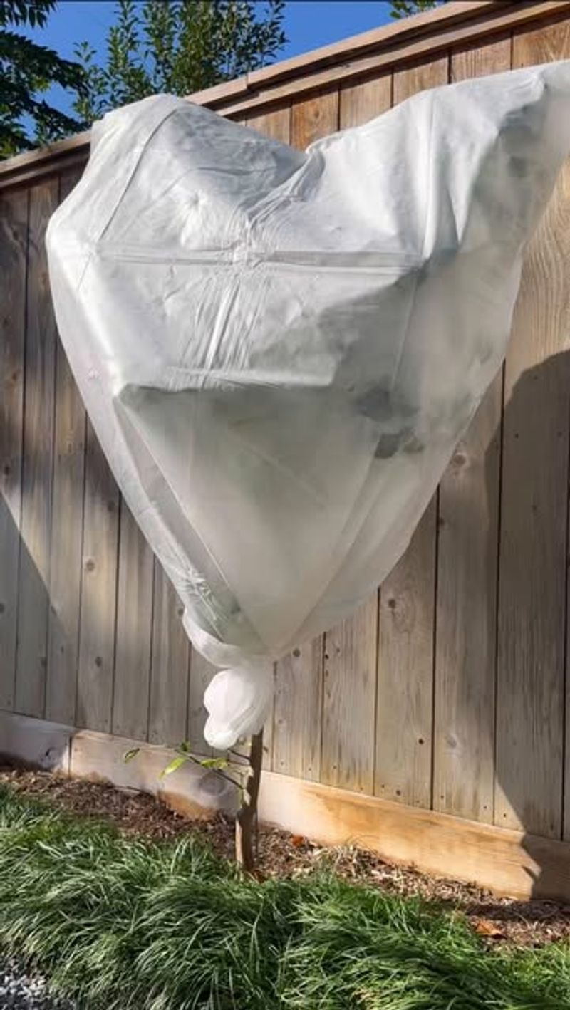 Secure Wrapping Materials Properly