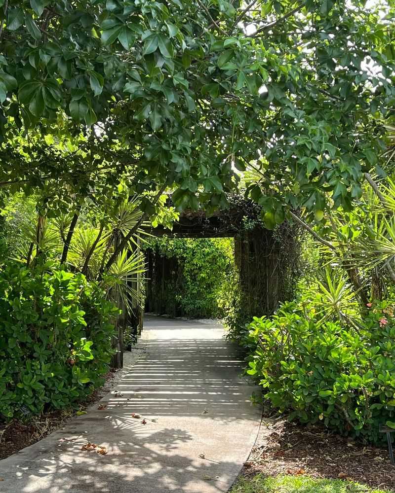 Install A Winding Shade Garden Path
