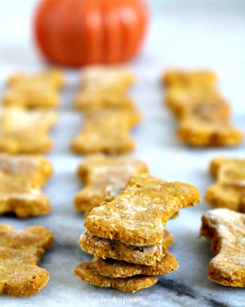 Make Pumpkin Spice Dog Treats