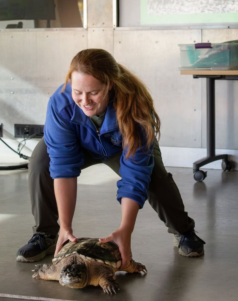 Contact Wildlife Experts If Needed