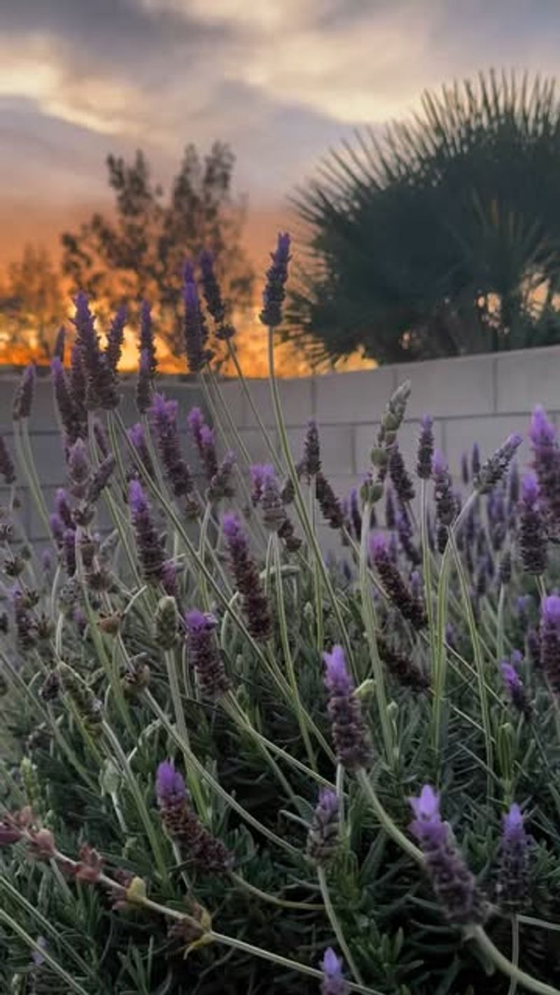 Low Maintenance Means More Time Enjoying Your Space