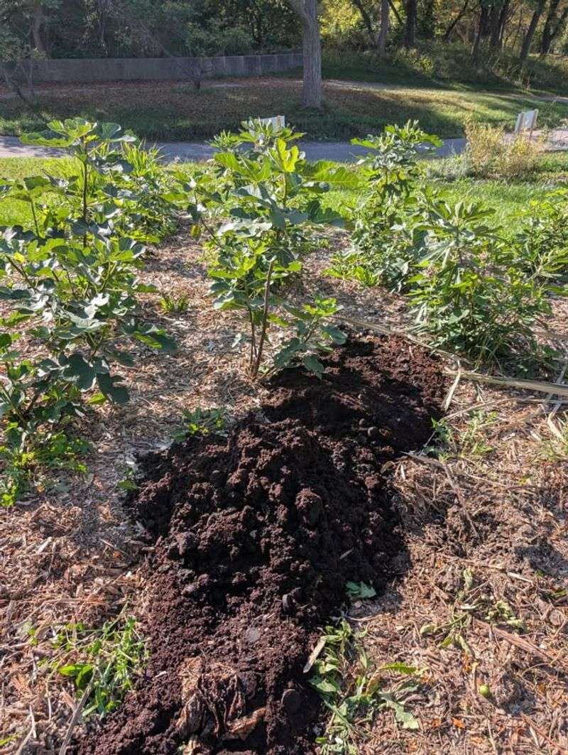 Environmentally Friendly Waste Reduction