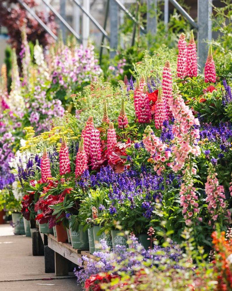 Winter Research Uncovers Michigan-Specific Growing Tips