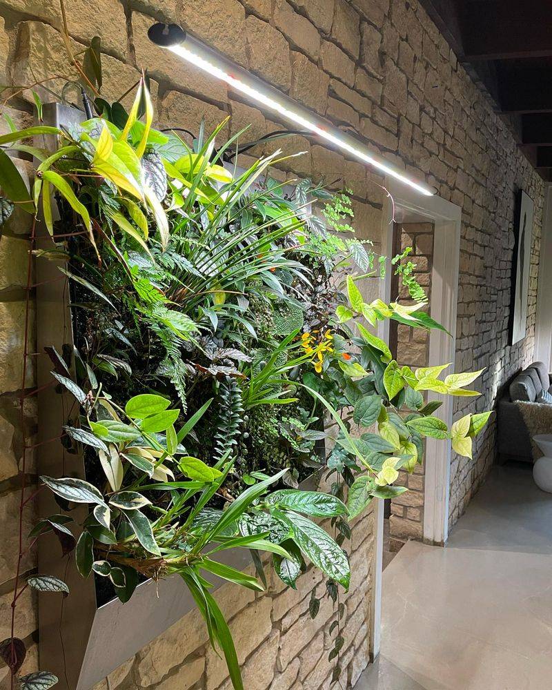 Adding Grow Lights For Darker Spaces