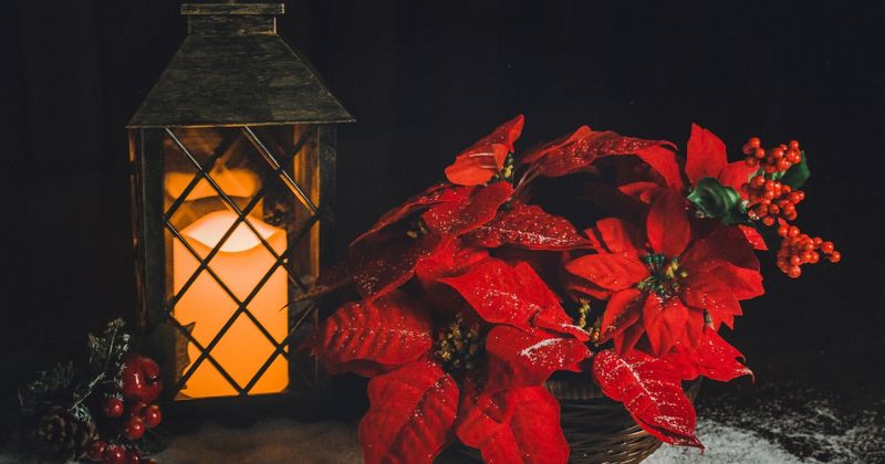 The Nighttime Temperature Factor