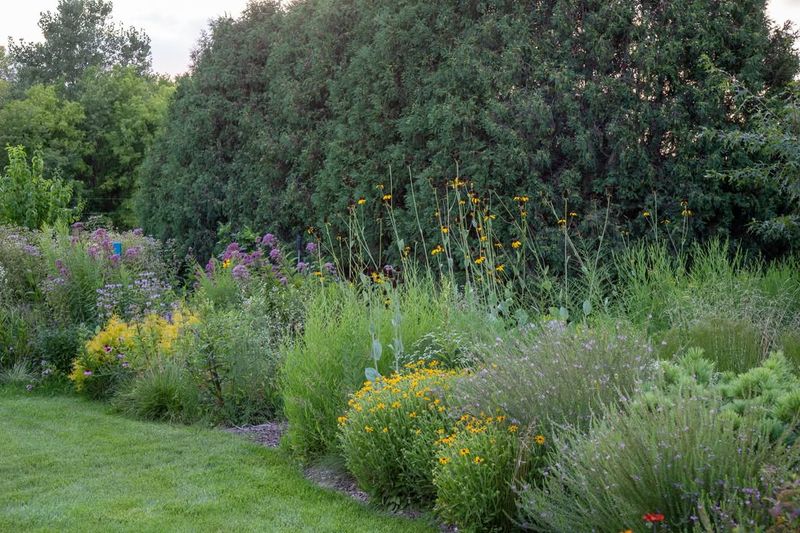 Low-Maintenance Garden Freedom