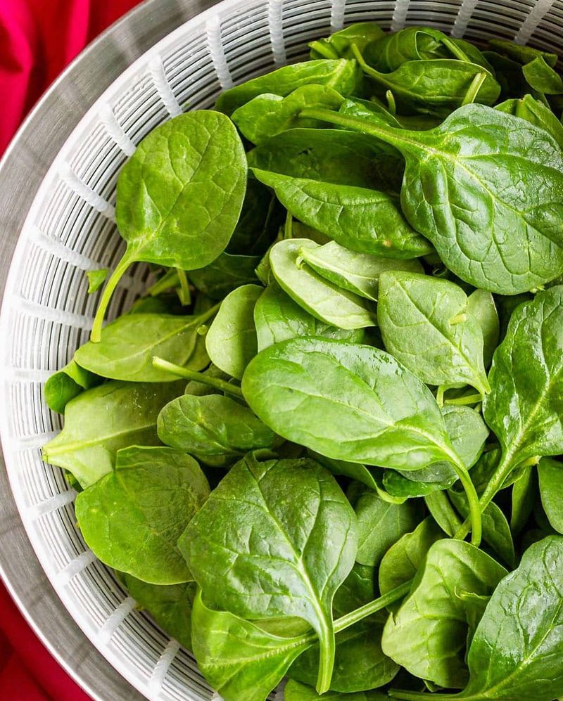 Tender Spinach Leaves