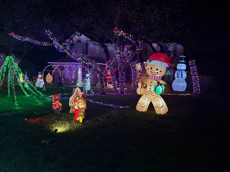 Social Media Fame Drives Competition And Creativity