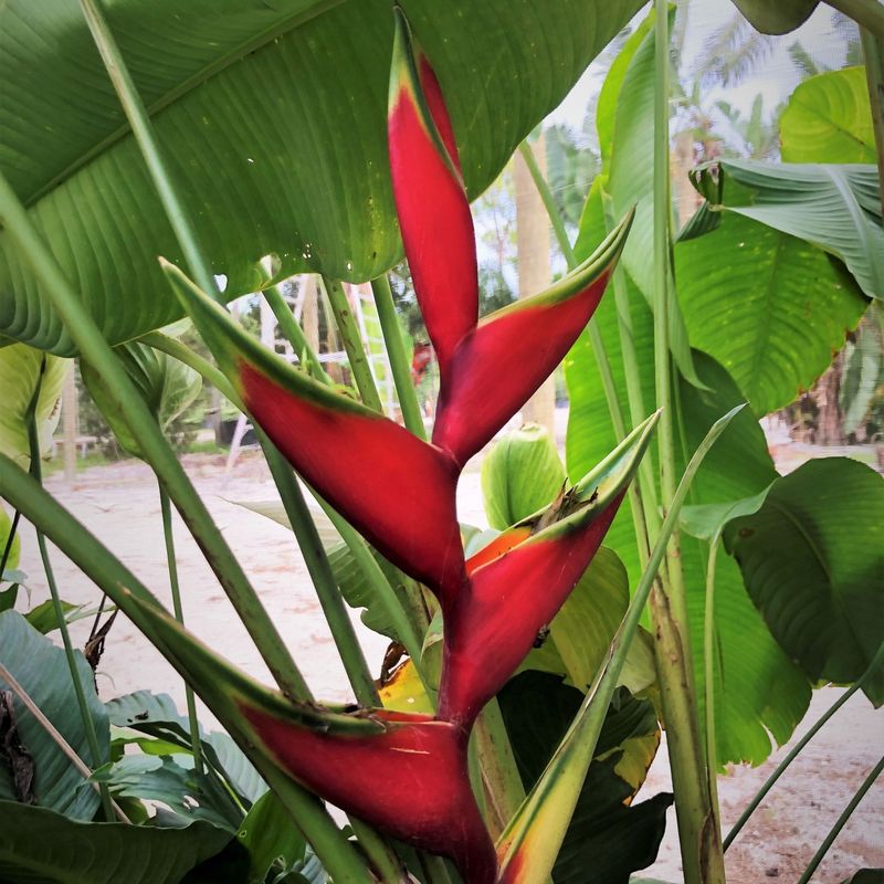 Growing Season Delays Cost Time