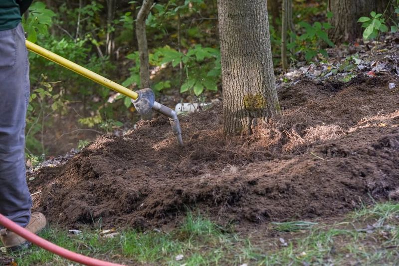 Dig Around And Expose The Roots