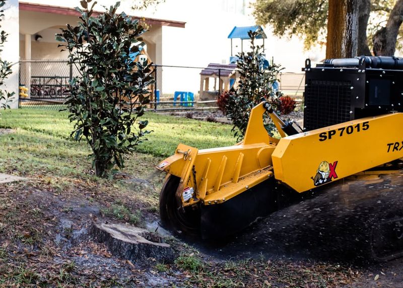 Remove Or Grind The Stump