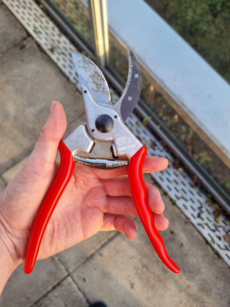 Using Dull or Dirty Pruning Tools