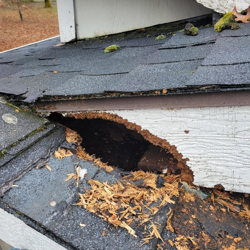 Property Damage Can Be Extensive