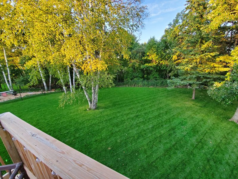 Spring Green-Up Happens Faster With Winter Feeding