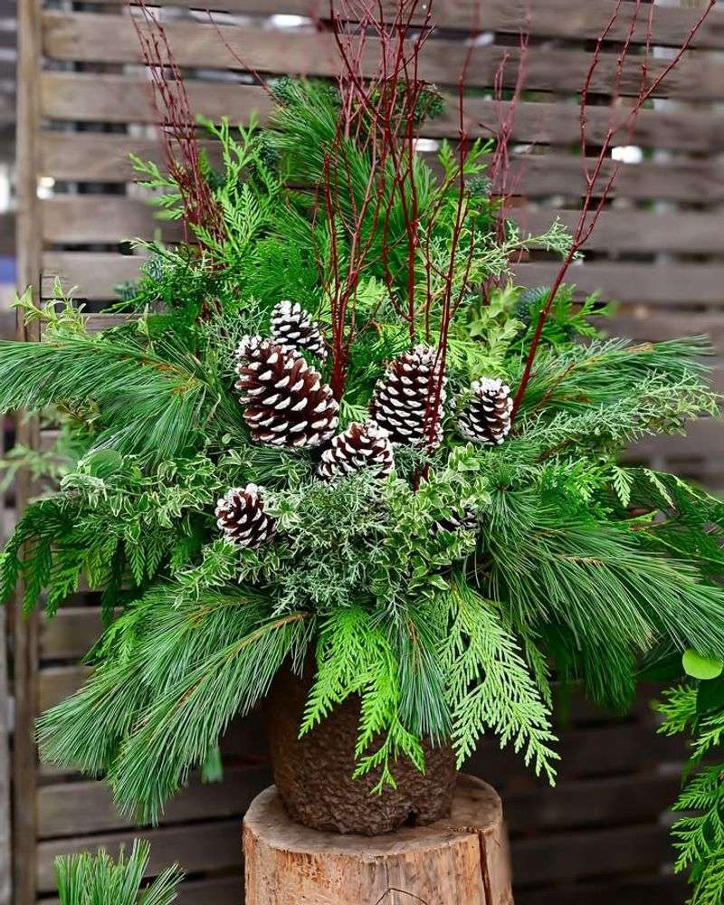 The Little Details That Bring Out A Plant's Holiday Charm