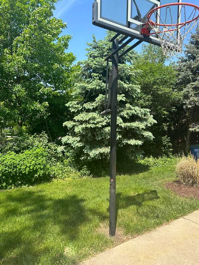 Basketball Hoops and Play Equipment