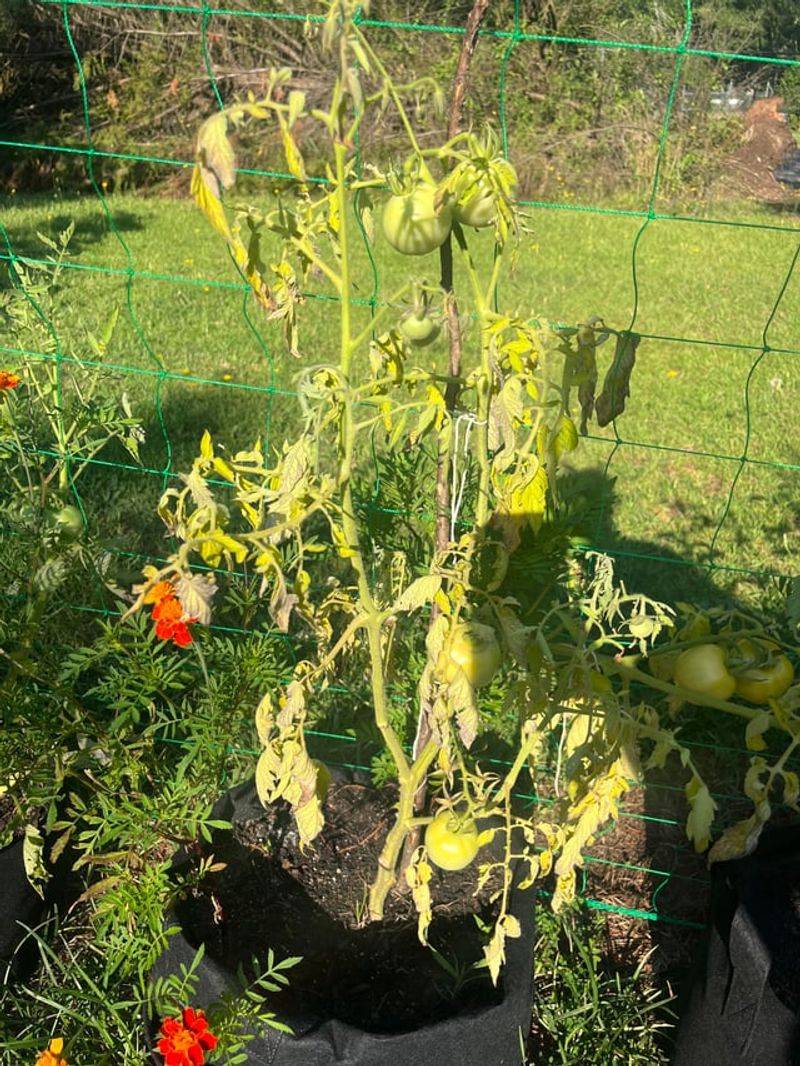 Low-Lying Areas That Collect Water