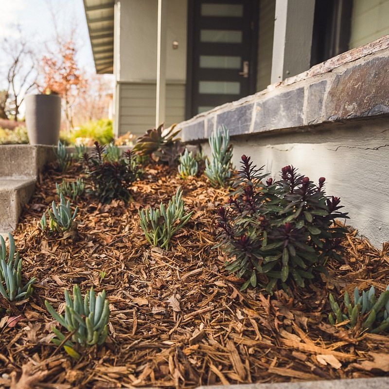 Apply a Thick Layer of Mulch