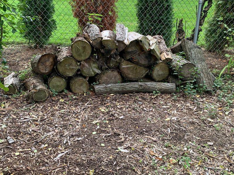 Create Rock and Log Hibernation Spots