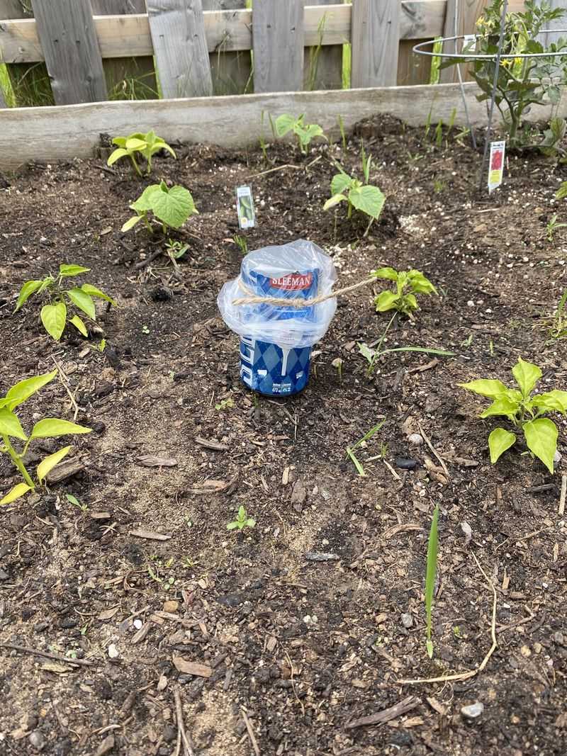 Discouraging Insects Before They Hibernate