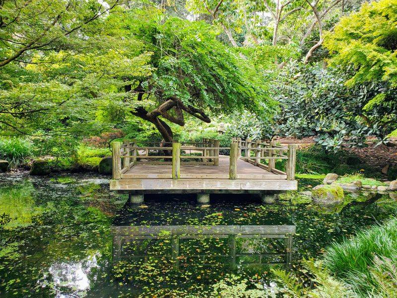 San Francisco Botanical Garden