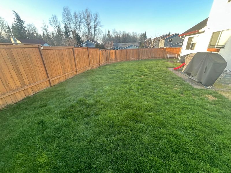 Freshens Lawn Odors Quickly