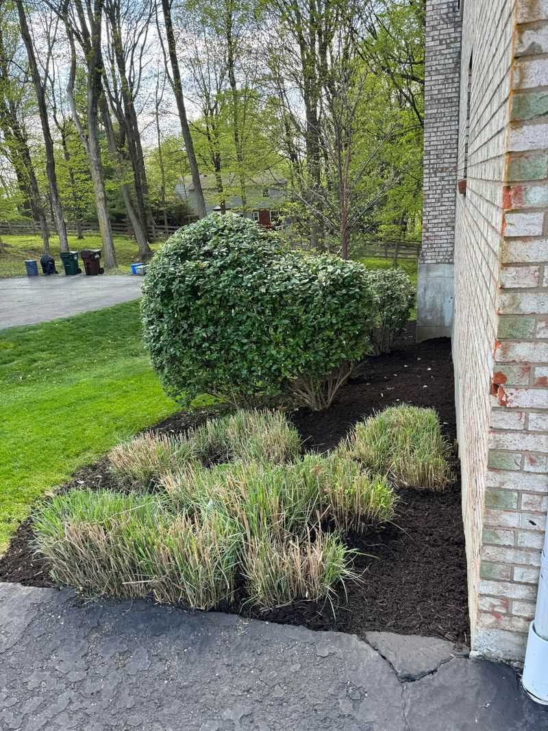 Simplifies Spring Cleanup And Maintenance