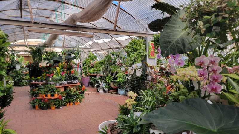 Berridge Nurseries