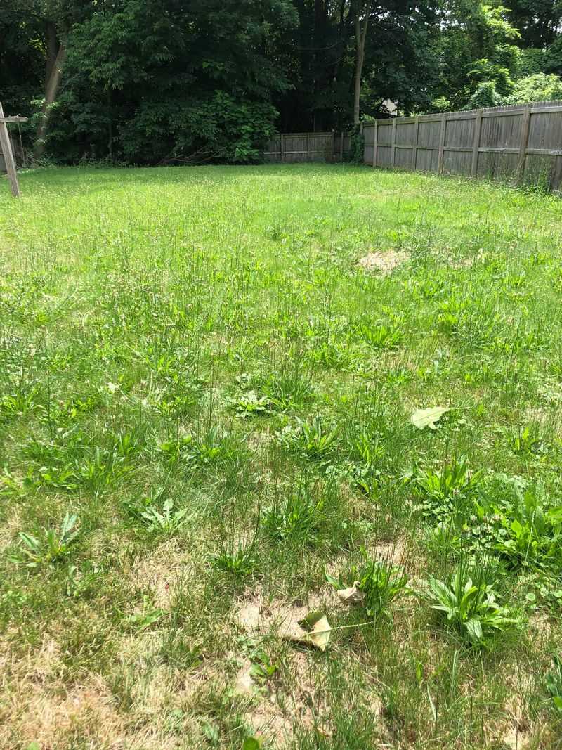 Reduces Lawn Odors From Pet Waste