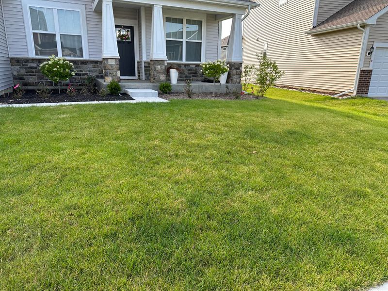 Promotes Even Spring Green-Up