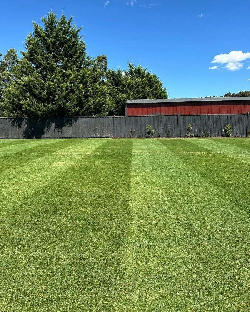 Speeds Up Spring Green-Up Time